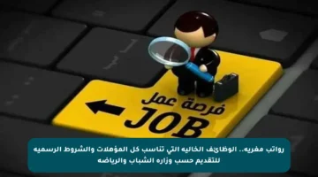 رواتب مغرية.. الوظائف الخالية التي تناسب كل المؤهلات والشروط الرسمية للتقديم حسب وزارة الشباب والرياضة